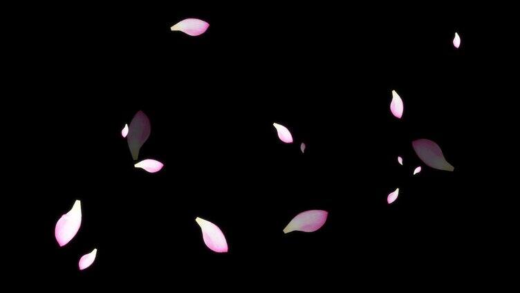 荷叶花瓣粒子旋转特效视频