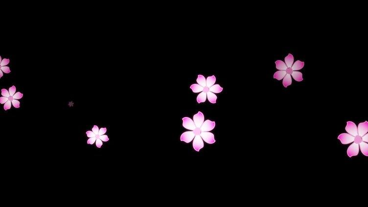 花朵漂浮视频