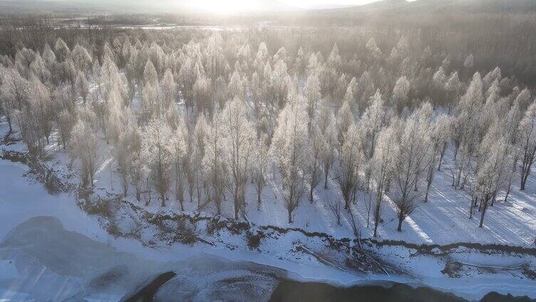 雪原阳光树林唯美雾凇