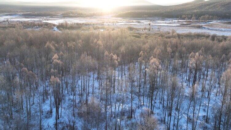 雪原阳光树林唯美雾凇