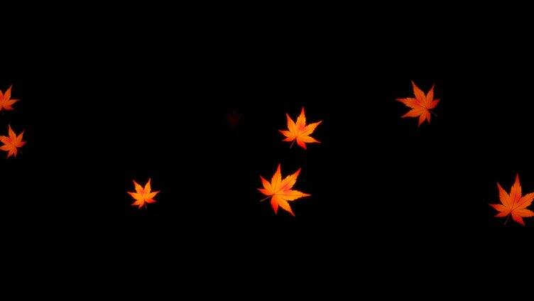 枫叶漂浮视频动画