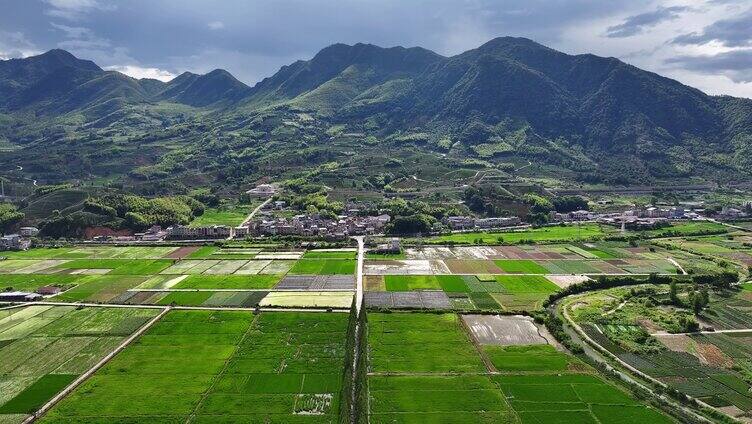 水稻种植水稻田航拍