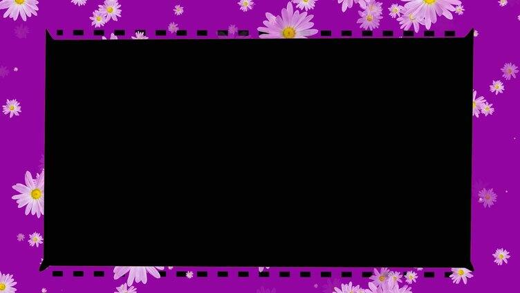 紫色菊花简洁视频框带通道