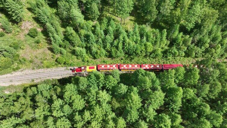 行驶在莫尔道嘎森林中的小火车