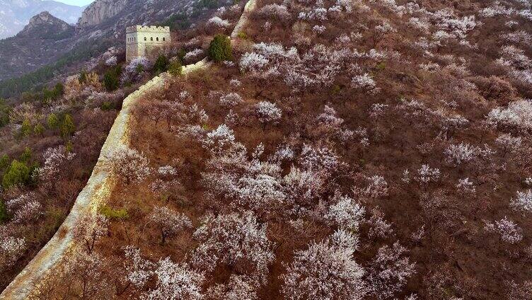 悬崖峭壁 长城烽火台 航拍