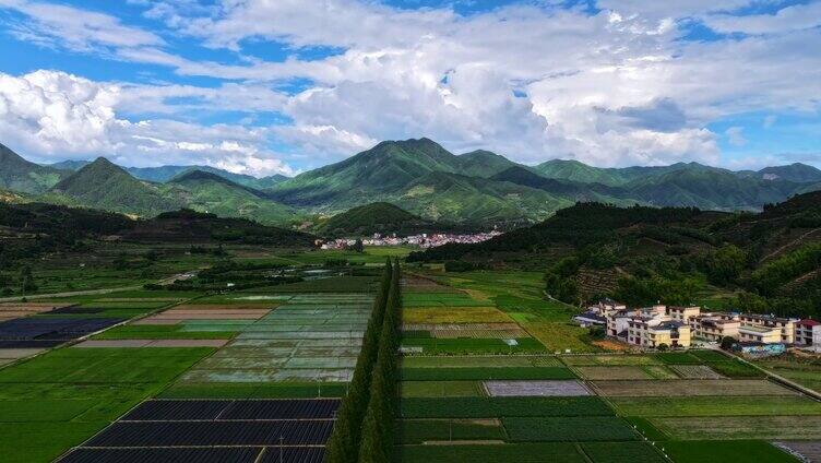 水稻田光影延时