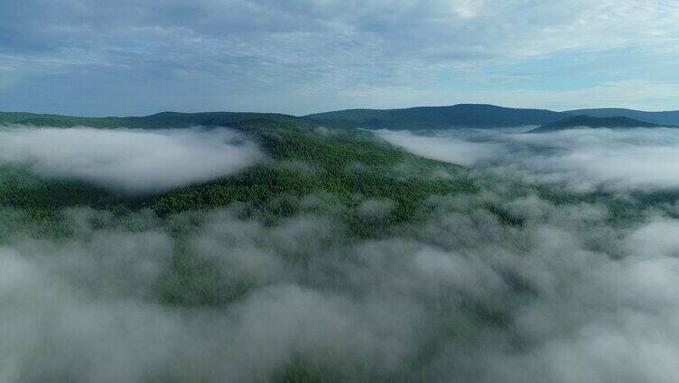 航拍原始森林云雾