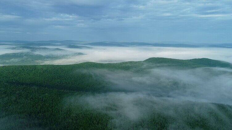 航拍原始森林云雾