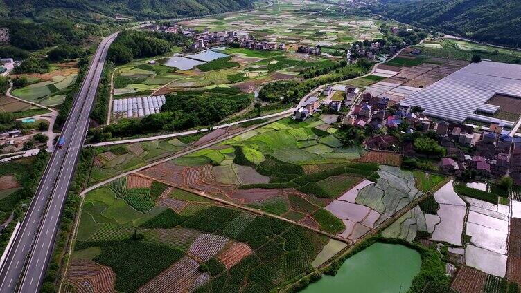 美丽水稻田航拍