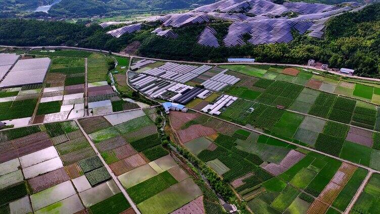 水稻种植水稻田航拍