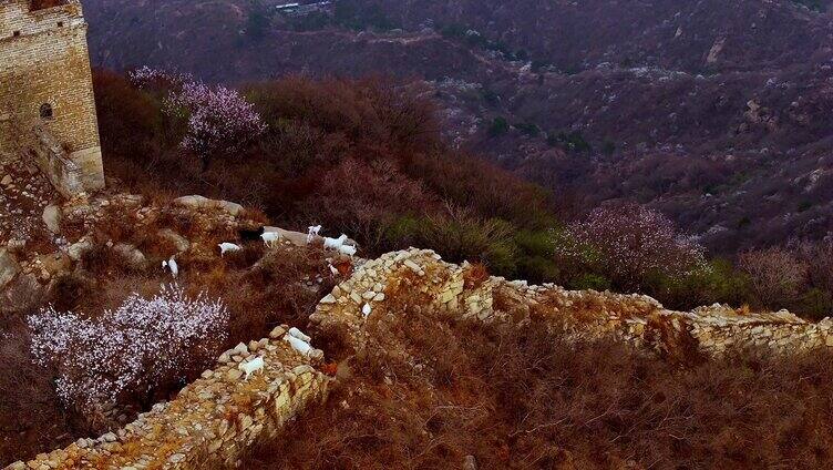 悬崖峭壁 长城烽火台 航拍