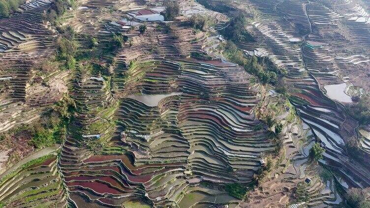 元阳梯田景观