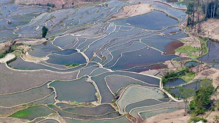 云南元阳梯田合集