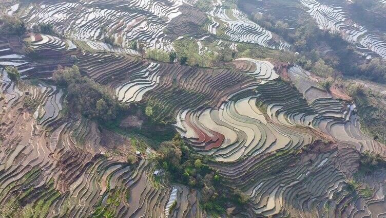 元阳梯田景观