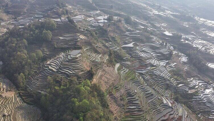 元阳梯田景观