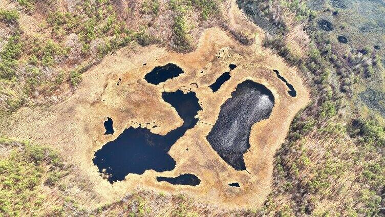 内蒙古达尔滨湖火山熔岩台地湿地水泡