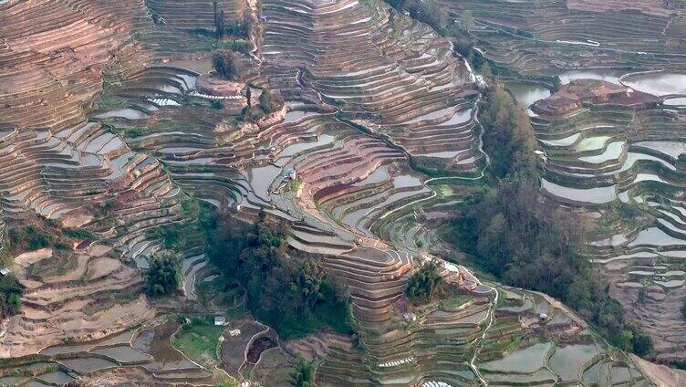 元阳梯田景观