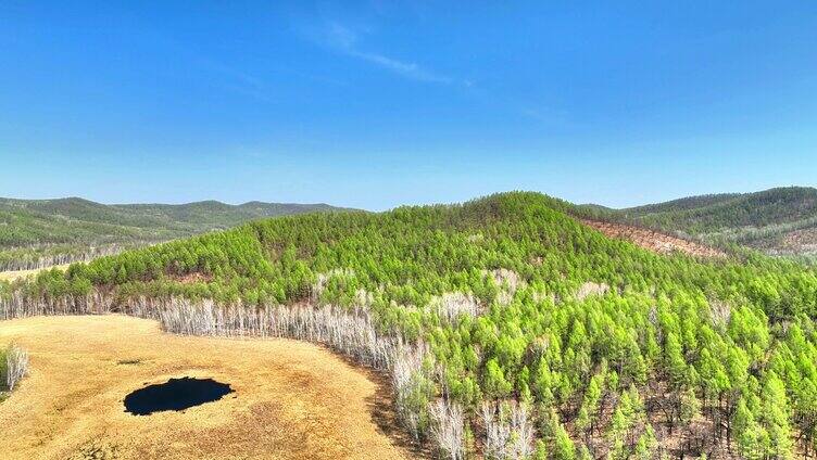 内蒙古达尔滨湖火山熔岩台地湿地水泡