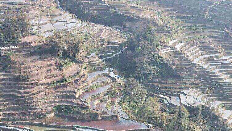 元阳梯田景观