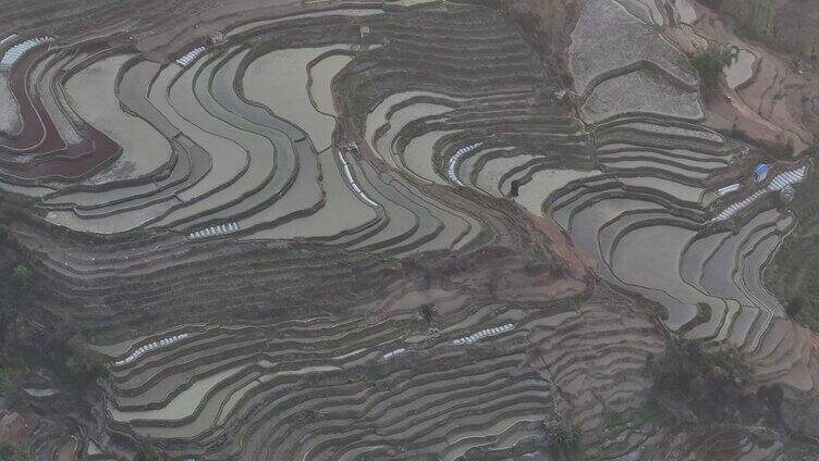 元阳梯田景观