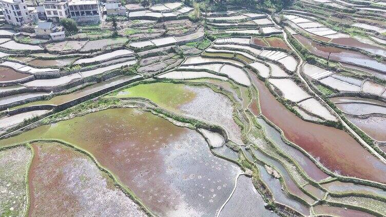 云南元阳梯田合集