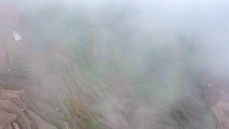 薄雾下的元阳梯田