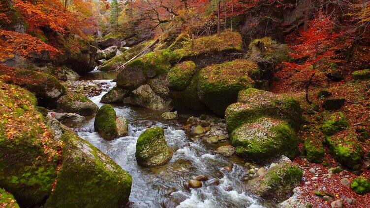 秋日山间溪流