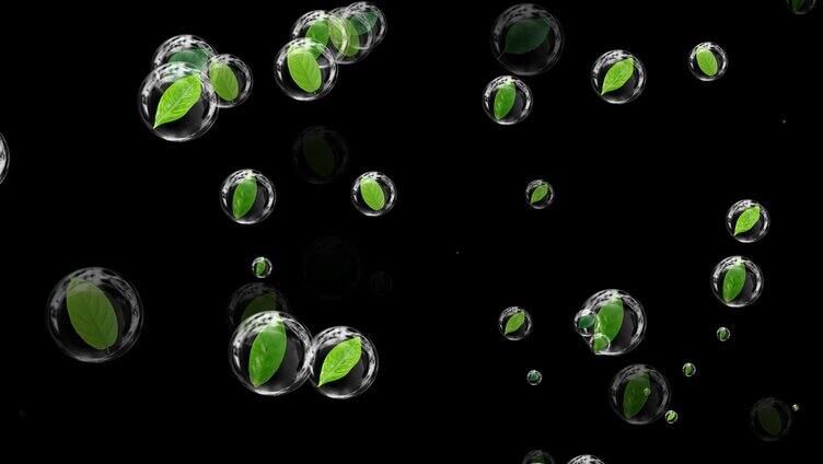 泡泡绿叶动态背景视频素材带通道