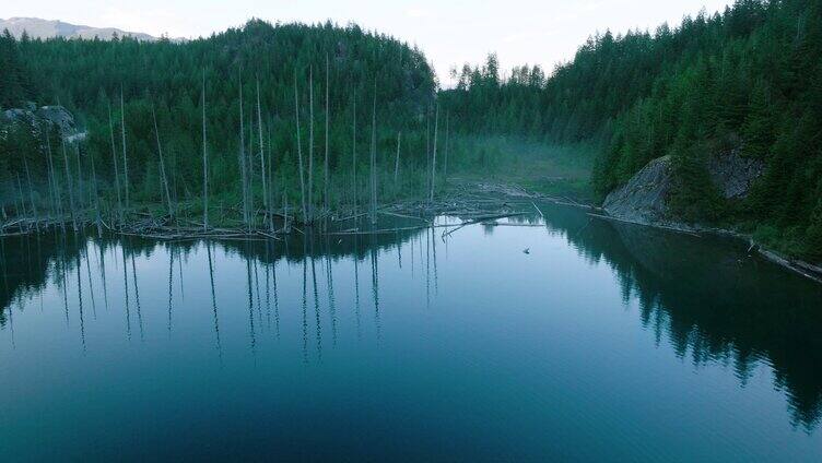 飞跃湖泊和森林