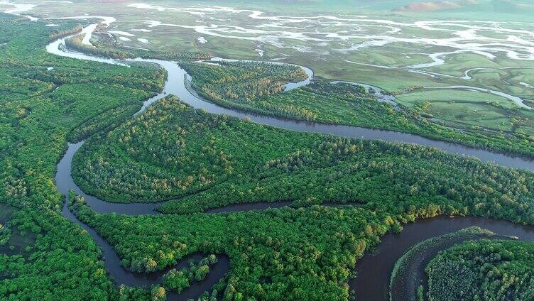 航拍内蒙古根河湿地风光