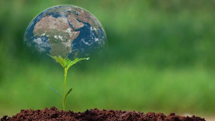 绿色经济环保和全球化