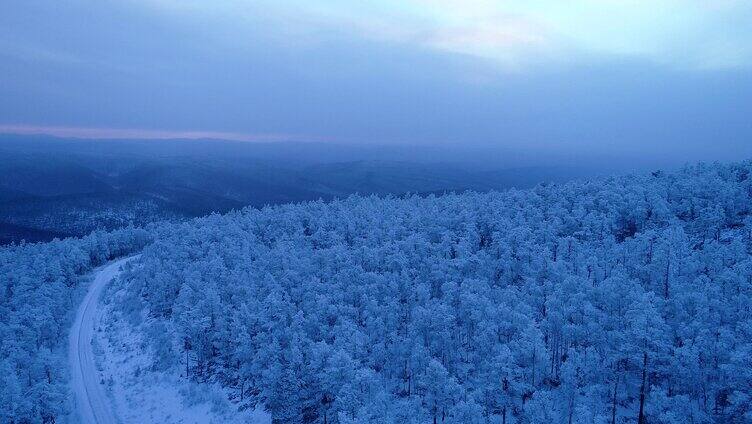 航拍银装素裹的林海雪原