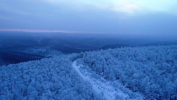 航拍银装素裹的林海雪原