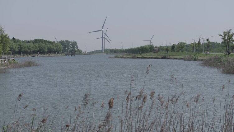 湖边的发电风车
