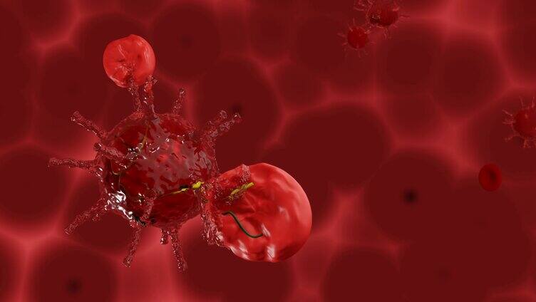 血小板和病毒细胞