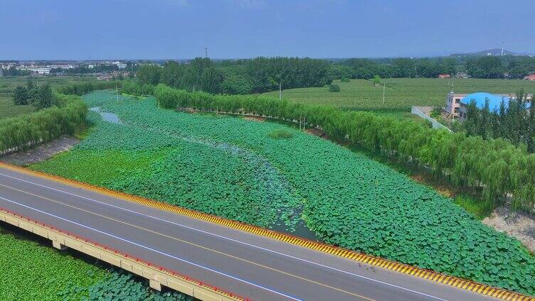 航拍滕州魏河大桥魏河湿地公园