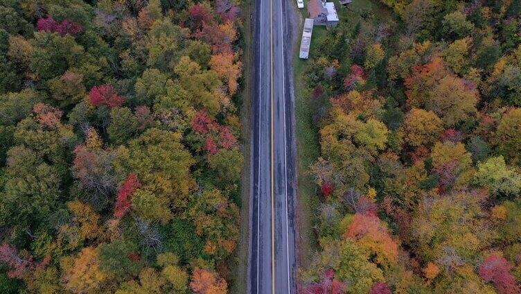 车辆行驶在秋天的公路