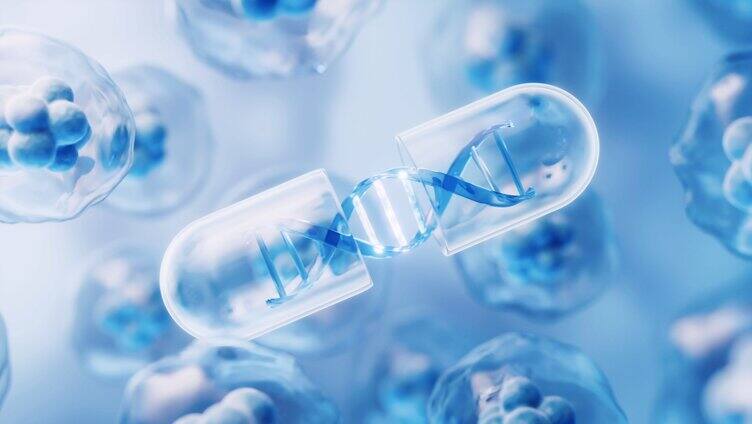 生物DNA和胶囊