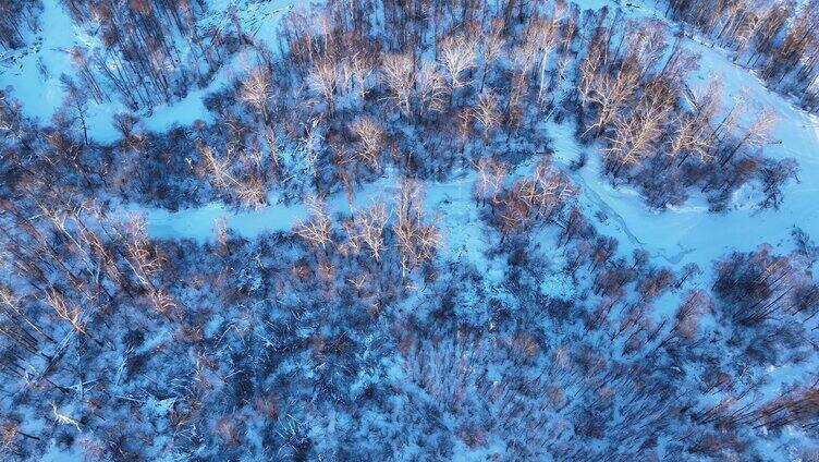 鸟瞰冰雪覆盖的冻土森林湿地