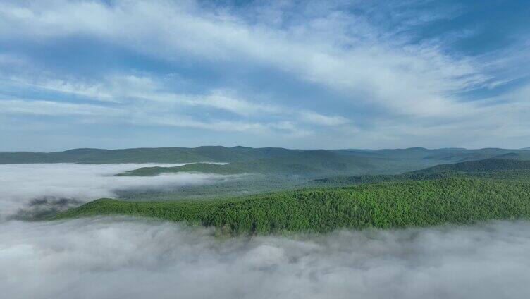 云雾缭绕的绿色山林