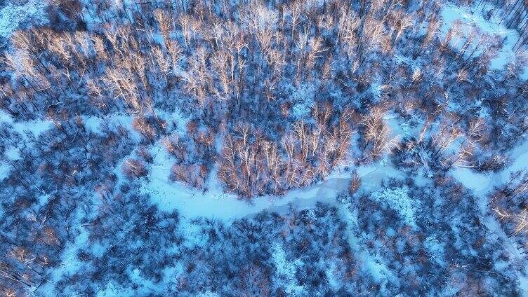 鸟瞰冰雪覆盖的冻土森林湿地