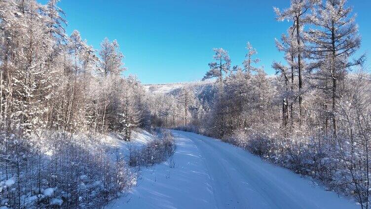 林海雪原雪林小路