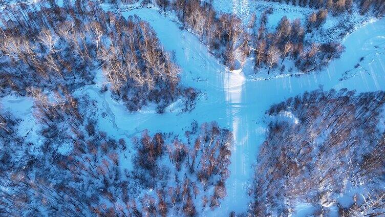 鸟瞰冰雪覆盖的冻土森林湿地