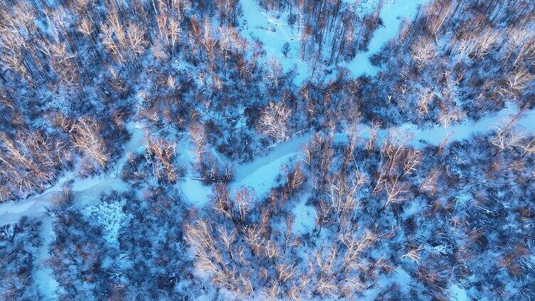 鸟瞰冰雪覆盖的冻土森林湿地