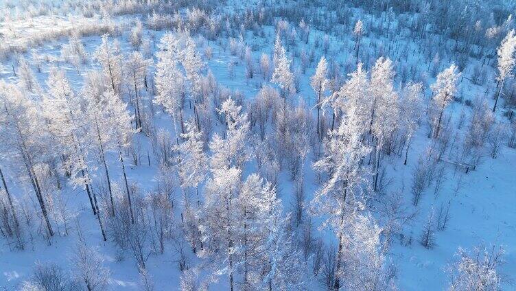 航拍大兴安岭林海雪原雾凇