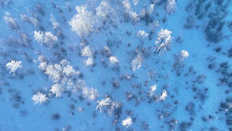 航拍大兴安岭林海雪原雾凇