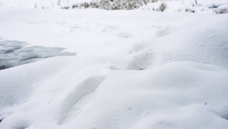 雪地脚印足迹4K