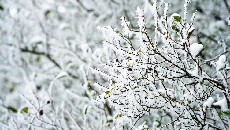 雪山雾凇雪凇雪景合集4K