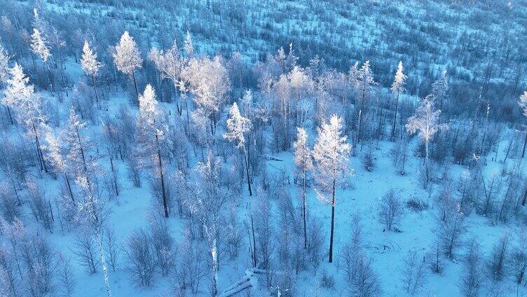 航拍大兴安岭林海雪原雾凇