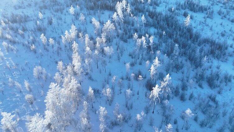 航拍大兴安岭林海雪原雾凇